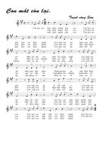 Con mắt còn lại - Trịnh Công Sơn pot