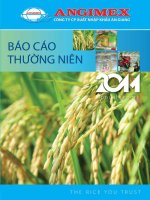 công ty cổ phần xuất nhập khẩu an giang angimex báo cáo thường niên 2011