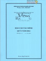 tổng công ty công nghiệp xi măng việt nam công ty cổ phần xi măng bỉm sơn báo cáo tài chính quý 1 năm 2014