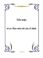 Tiểu luận kinh tế gia đình và xã hội