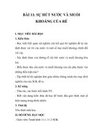 GIÁO ÁN SINH 6_BÀI 11: SỰ HÚT NƯỚC VÀ MUỐI KHOÁNG CỦA RỄ I. MỤC TIÊU BÀI HỌC doc