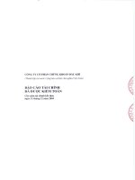 công ty cổ phần chứng khoán dầu khí báo cáo tài chính đã được kiểm toán cho năm tài chính kết thúc ngày 31 tháng 12 năm 2010