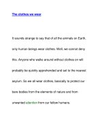 The clothes we wear pot