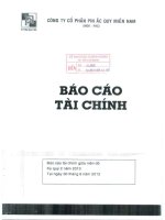 Công ty cổ phần pin ắc quy miền nam báo cáo tài chính giữa niên độ kỳ quý 2 năm 2013 tại ngày 30 tháng 6 năm 2013