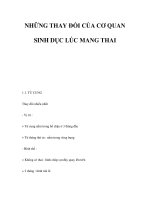 NHỮNG THAY ĐỔI CỦA CƠ QUAN SINH DỤC LÚC MANG THAI doc