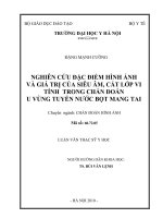Nghiên cứu đặc điểm hình ảnh và giá trị của siêu âm, cắt lớp vi tính trong chẩn đoán u vùng tuyến nước bọt mang tai