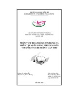 Phân tích hoạt động tín dụng cá nhân tại ngân hàng thương mại cổ phần sài gòn thương tín chi nhánh cần thơ   luận văn, đồ án, đề tài tốt nghiệp