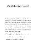 GÂY MÊ TĨNH MẠCH TOÀN BỘ doc