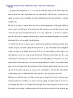 Thực tế phân tích tình hình tài chính tại Cty Sao Việt - 1 pot