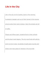 Life in the CityLife pptx