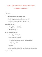 Giáo án lớp 2 môn Luyện Từ Và Câu: BÀI 14 : MRVT-TỪ NGỮ VỀ TÌNH CẢM GIA ĐÌNH CÂU KIỂU AI LÀM GÌ pot