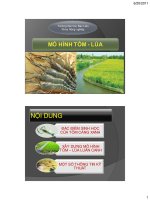 ĐẶC ĐIỂM SINH HỌC CỦA TÔM CÀNG XANH pot