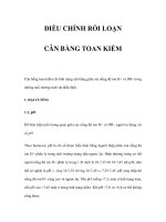 ĐIỀU CHỈNH RỐI LOẠN CÂN BẰNG TOAN KIỀM pptx