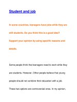 Student and jobIn some countries pps