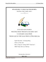 skkn phương pháp tính số loại kiểu gen và số kiểu giao phối trong quần thể ngẫu phối lượng bội (2n) thpt triệu sơn 5