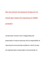 Not only should man preserve forests pps