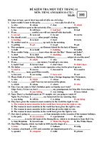 ĐỀ KIỂM TRA MỘT TIẾT THÁNG 11 MÔN: TIẾNG ANH KHỐI 10 (CTC) MÃ ĐỀ: 101 pps