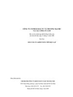CÔNG TY cổ PHầN đầu tư và THƯƠNG mại DIC và các CÔNG TY CON báo cáo tài chính hợp nhất cho năm kết thúc ngày 31 tháng 12 năm 2008 kèm theo báo cáo của KIỂM TOÁN VIÊN độc lập