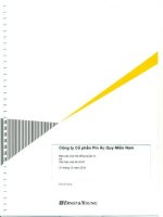 công ty cổ phần pin ắc quy miền nam báo cáo của hội đồng quản trị và báo cáo tài chính 31 tháng 12 năm 2010