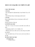 GIÁO ÁN SINH 6_BÀI 9. CÁC LOẠI RỄ, CÁC MIỀN CỦA RỄ ppsx