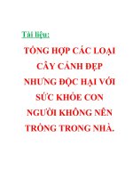 Tài liệu: TỔNG HỢP CÁC LOẠI CÂY CẢNH ĐẸP NHƯNG ĐỘC HẠI VỚI SỨC KHỎE CON NGƯỜI KHÔNG NÊN TRỒNG TRONG NHÀ .