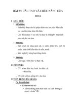 GIÁO ÁN SINH 6_BÀI 28: CẤU TẠO VÀ CHỨC NĂNG CỦA HOA ppsx