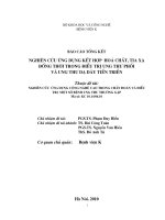 Nghiên cứu ứng dụng kết hợp hoá chất, tia xạ đồng thời trong điều trị ung thư phổi và ung thư dạ dày tiến triển