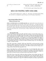 CÔNG TY cổ PHầN đầu tư và THƯƠNG mại DIC báo cáo thường niên 2006