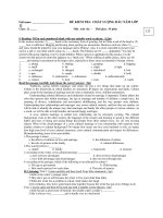 ĐỀ KIỂM TRA CHẤT LƯỢNG ĐẦU NĂM LỚP Môn Anh văn - Mã đề 123 ppsx