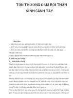 TỔN THƯƠNG ĐÁM RỐI THẦN KINH CÁNH TAY pptx
