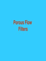 BED, BANK & SHORE BED, BANK & SHORE PROTECTION - CHAPTER 5 doc