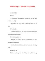 Giáo án đạo đức lớp 1:Tên bài dạy: Chào hỏi và tạm biệt doc