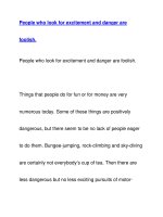 People who look for excitement and danger arefoolish. ppt