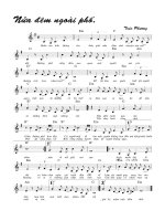 Nửa đêm ngoài phố ppsx