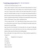 Thực tế phân tích tình hình tài chính tại Cty Sao Việt - 5 docx