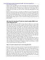 Kinh doanh điện tử và thương mại điện tử - Zorayda Ruthu Andam - 4 doc