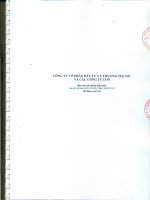 công ty cổ phần đầu tư và thương mại DIC và các công ty con báo cáo tài chính hợp nhất cho kỳ kế toán từ 1 tháng 1 năm 2013 đến 30 tháng 6 năm 2013 đã được soát xét