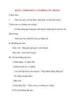 Giáo án lớp 2 môn Kể Chuyện: BÀI 21 : CHIM SƠN CA VÀ BÔNG CÚC TRẮNG doc