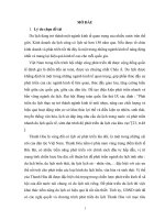 Phát triển kinh tế du lịch của tỉnh thanh hóa