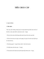 TIÊU CHẢY CẤP potx