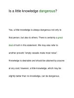 Is a little knowledge dangerous? docx