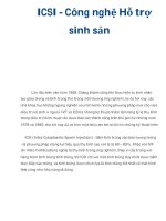 ICSI - Công nghệ Hỗ trợ sinh sản doc