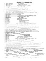 Đề ôn thi TN-THPT năm 2011 pdf