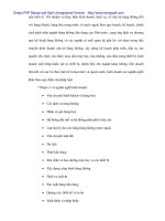 Phân tích tài chính và nâng cao hiệu quả tài chính trong vận tải tại Vietnam Airlines - 4 ppsx