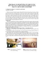 Báo cáo nghiên cứu khoa học: 