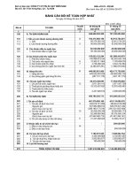 CÔNG TY CP PIN ắc QUY MIỀN NAM BẢNG cân đối kế TOÁN hợp NHẤT tại ngày 30 tháng 06 năm 2013