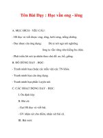 Giáo án lớp 1 môn Tiếng Việt :Tên Bài Dạy : Học vần eng - iêng doc