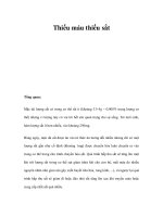 Thiếu máu thiếu sắt ppsx