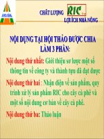 thuyết trình: Phục hồi cà phê vàng lá