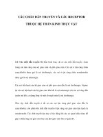 CÁC CHẤT DẪN TRUYỀN VÀ CÁC RECEPTOR THUỘC HỆ THẦN KINH THỰC VẬT pot